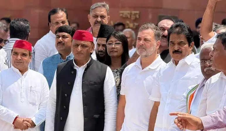 राहुल गांधी समेत 5 विपक्षी सांसदों के खिलाफ अदालत में शिकायत, संसद परिसर में प्रदर्शन पर उठे सवाल