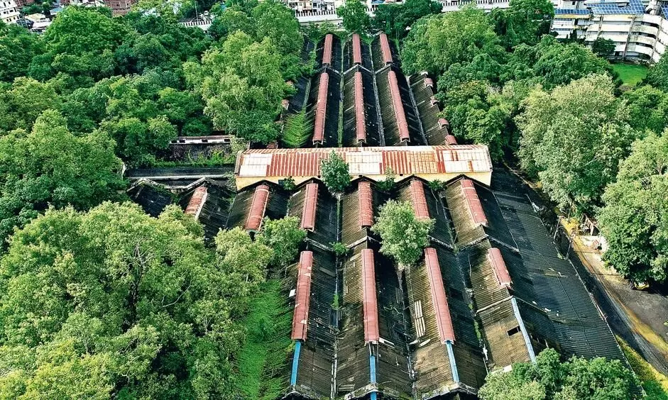 टेलीकॉम सेक्टर को लेकर शहर में हर तरह की अनुकूलता, पहले से मौजूद हैं संसाधन टेलीकॉम सेक्टर को लेकर शहर में हर तरह की अनुकूलता, पहले से मौजूद हैं संसाधन