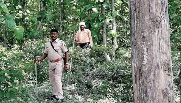 बढ़ते वन अपराधों के बाद अब मप्र के वन बल को भी मिला आर्म्स चलाने का अधिकार