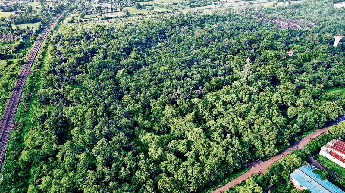 पहले से मौजूद है टेलीकॉम का ईकोसिस्टम, सही इस्तेमाल से हो सकता है 50 हजार लोगों को लाभ