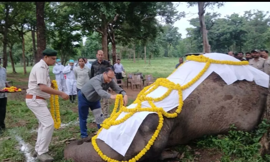 पोस्टमार्टम के बाद शव का किया अंतिम संस्कार, पुष्पमाला अर्पित कर दी श्रद्धांजलि पोस्टमार्टम के बाद शव का किया अंतिम संस्कार, पुष्पमाला अर्पित कर दी श्रद्धांजलि