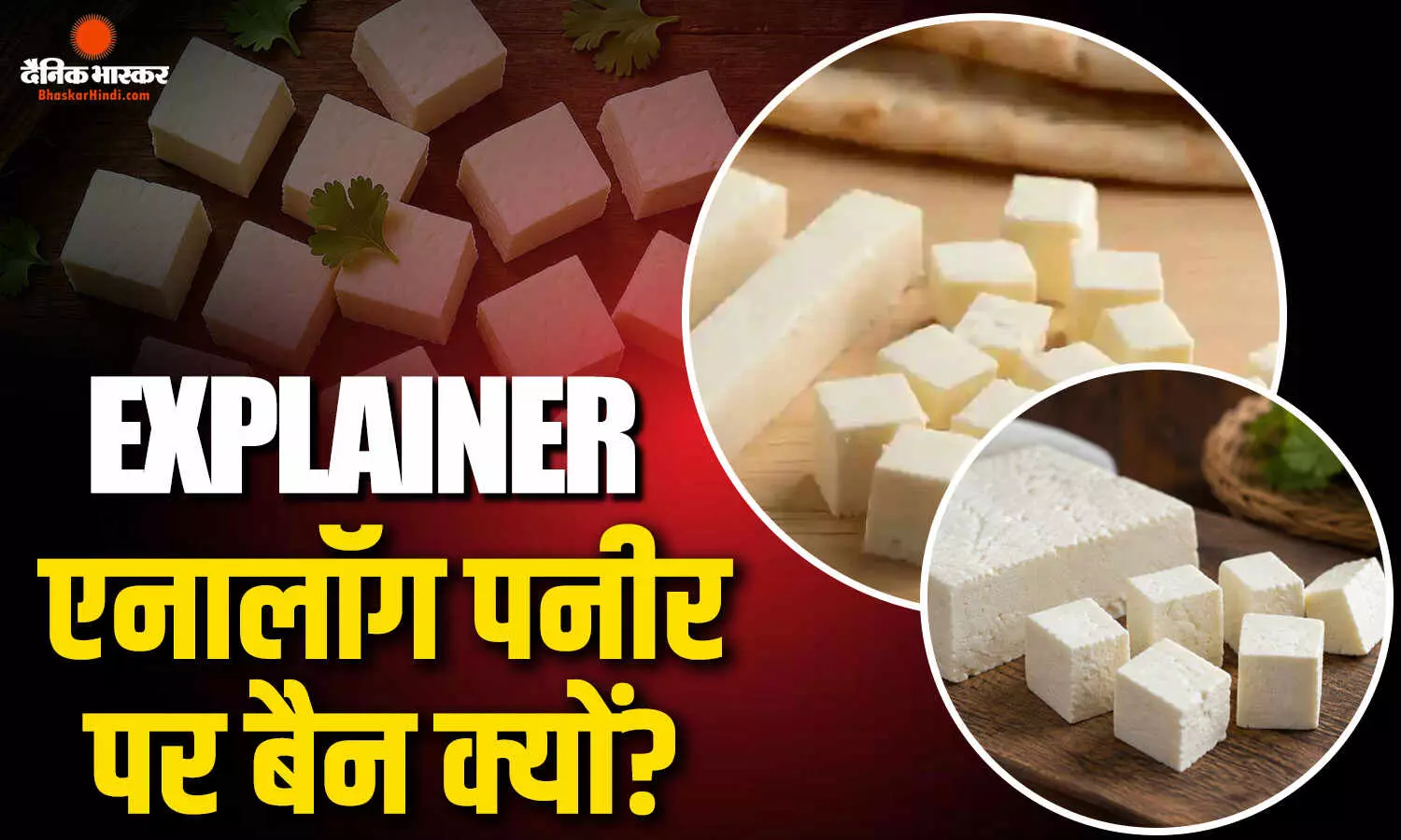 कहीं आप भी तो नहीं खा रहे नकली पनीर? जानिए क्या है एनालॉग पनीर, क्यों इसे बैन करने पर मजबूर हुई सरकार? ऐसें करें असली की पहचान