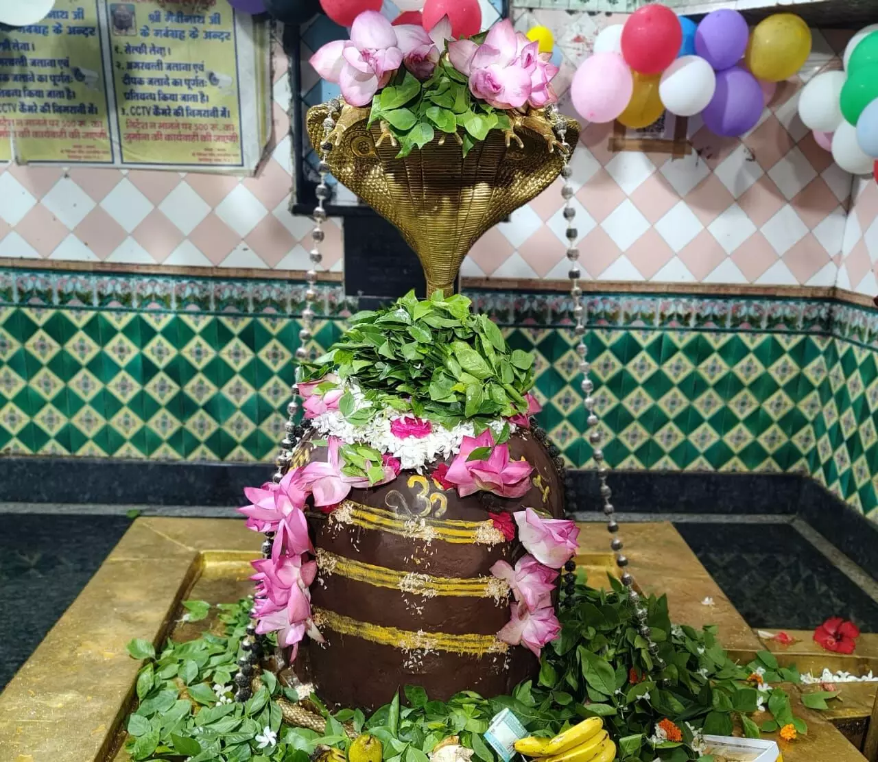 विशेष योग: नाग पंचमी और सावन सोमवार पर गैबीनाथ मंदिर में उमड़ेगा आस्था का सैलाब विशेष योग: नाग पंचमी और सावन सोमवार पर गैबीनाथ मंदिर में उमड़ेगा आस्था का सैलाब