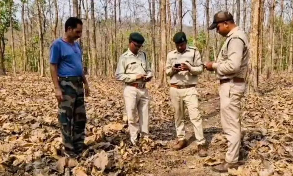 दुर्लभ और प्रतिबंधित प्रजाति के 30 कछुऐं जप्त, दो आरोपी गिरफ्तार दुर्लभ और प्रतिबंधित प्रजाति के 30 कछुऐं जप्त, दो आरोपी गिरफ्तार