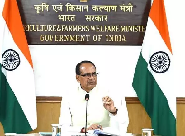 मिशन फॉर आत्मनिर्भरता इन पल्सेस की गतिविधियों की मॉनिटरिंग के लिए कमेठी गठित मिशन फॉर आत्मनिर्भरता इन पल्सेस की गतिविधियों की मॉनिटरिंग के लिए कमेठी गठित