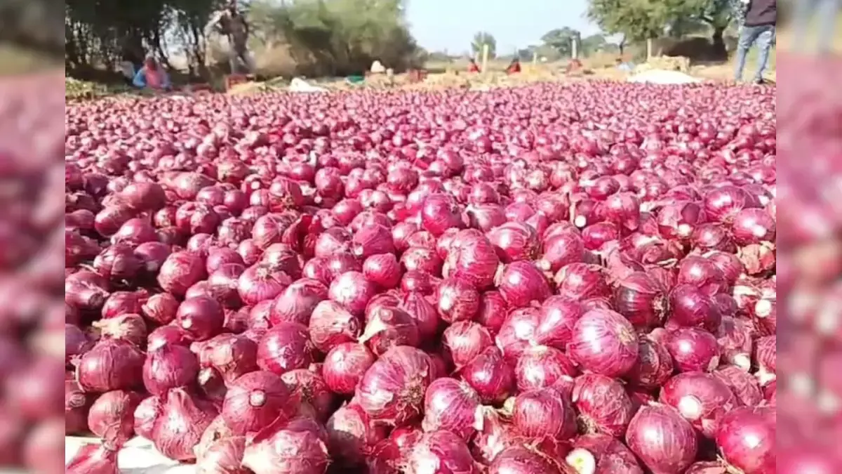 केंद्र ने कहा -  घरेलू मांग को पूरा करने के लिए प्याज की पर्याप्त उपलब्धता, बफर स्टॉक भी उपलब्ध