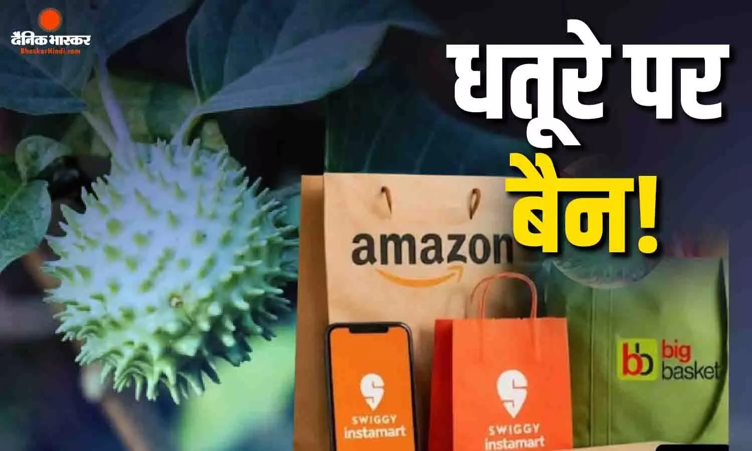 अब धतूरा बेचना नहीं आसान? एमेजॉन-स्विगी से लेकर बिग बास्केट तक फूड लाइसेंस सस्पेंड, जानें क्या है वजह अब धतूरा बेचना नहीं आसान? एमेजॉन-स्विगी से लेकर बिग बास्केट तक फूड लाइसेंस सस्पेंड, जानें क्या है वजह