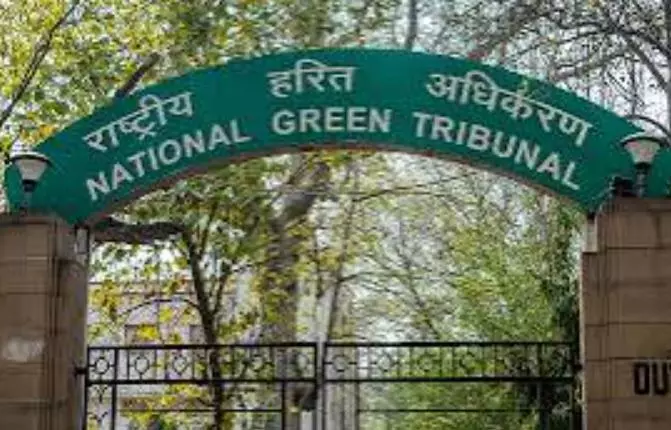 ई-वेस्ट को लेकर एनजीटी ने जताई चिंता, सिर्फ 10 प्रतिशत का वैज्ञानिक तरीके से निपटारा, 4 हफ्ते में रिपोर्ट देने के आदेश