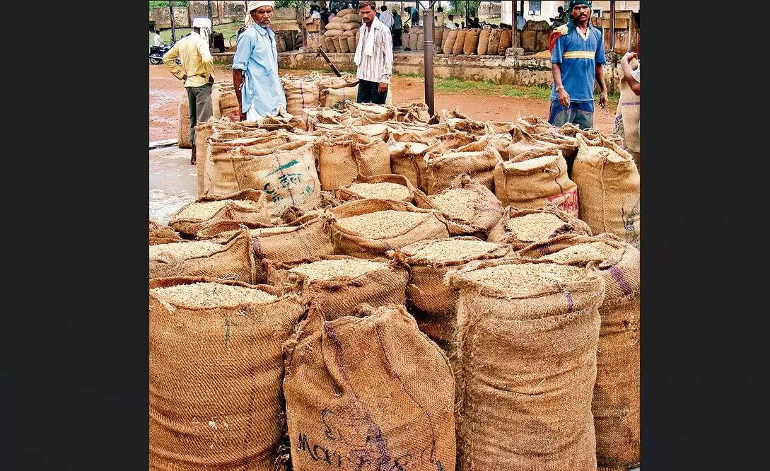 पाटन-मझौली में धान और गेहूं उपार्जन के खेल में समितियों की आड़ लेकर चल रहा ग्रेन सिंडिकेट