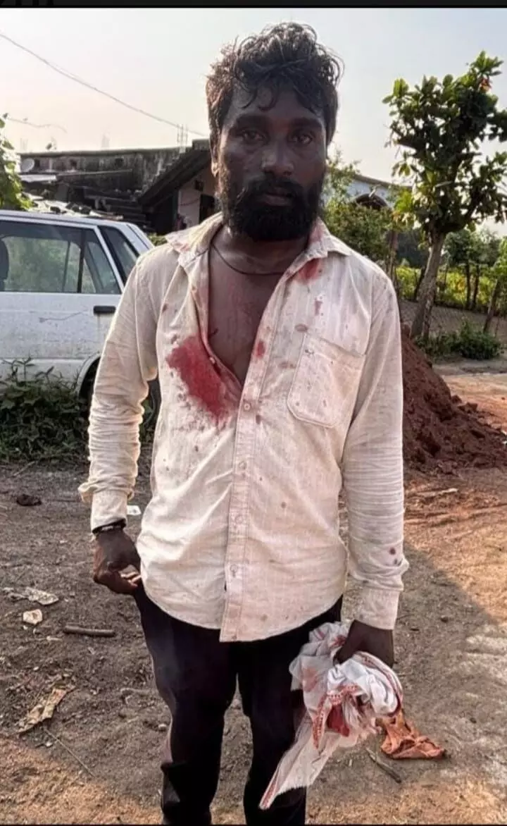 मालिक को बाघ से जूझते देख बचाने दौड़ा बैल, बाघ जंगल में भागा उल्टे पैर