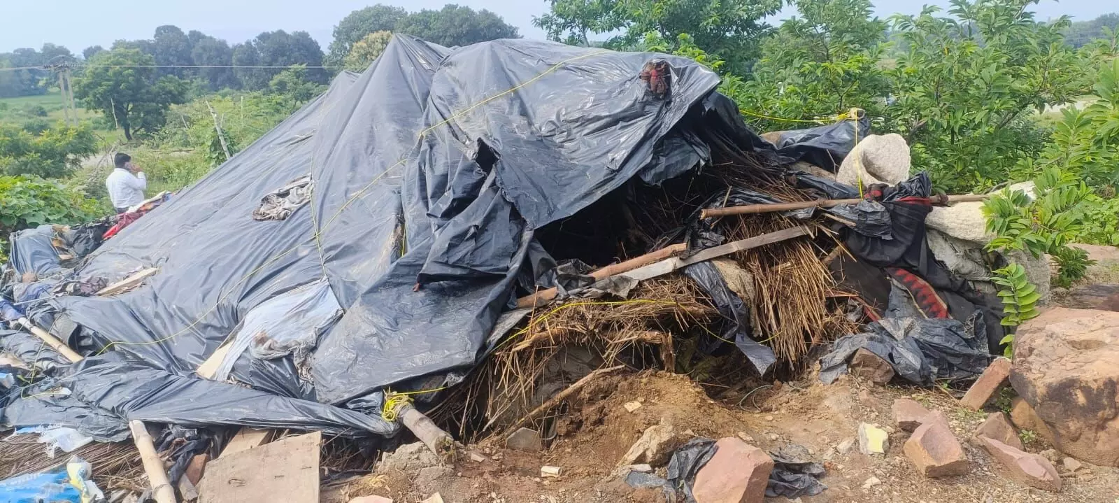 आबादी के बीच पहुंचा हाथी, कच्चे मकान और फसलें क्षतिग्रस्त आबादी के बीच पहुंचा हाथी, कच्चे मकान और फसलें क्षतिग्रस्त