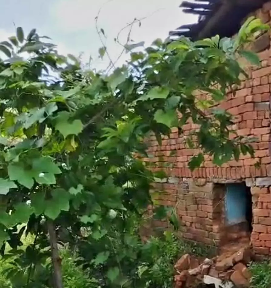 दहशत के माहौल में देवरी गांव में चोरों का धावा, 3 घरों में नकबजनी दहशत के माहौल में देवरी गांव में चोरों का धावा, 3 घरों में नकबजनी