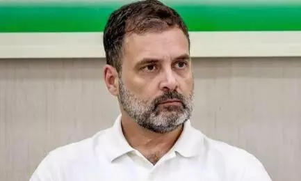 राहुल गांधी के कार्यक्रम स्थल पर निकल रहे सांप, VIP लाउंज में जा घुसा राहुल गांधी के कार्यक्रम स्थल पर निकल रहे सांप, VIP लाउंज में जा घुसा