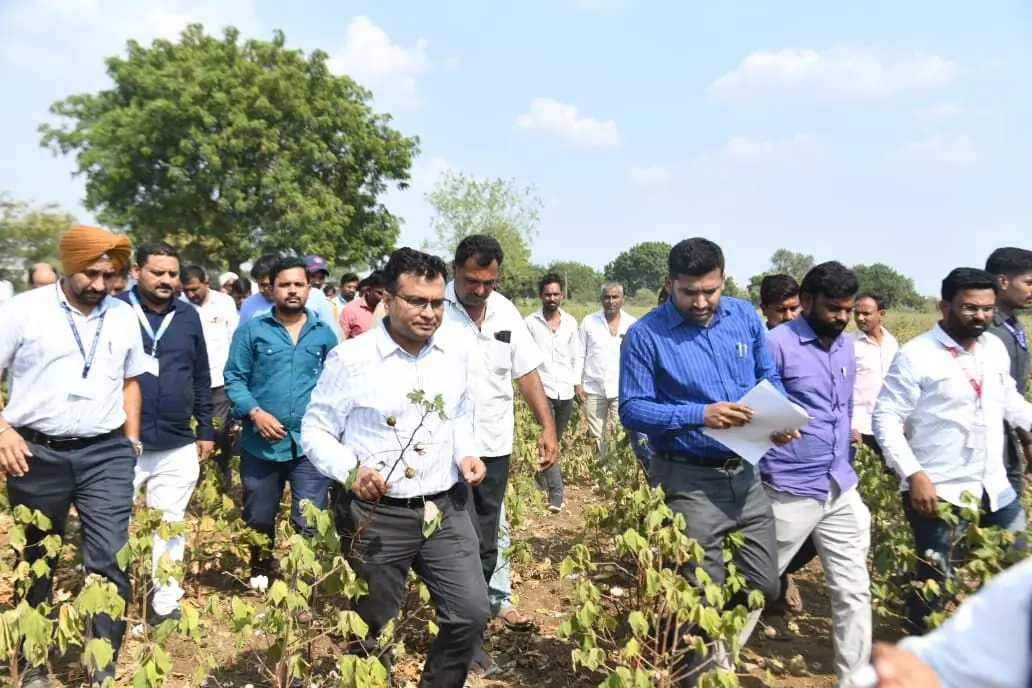 सूखे की स्थिति का जायजा लेने केंद्र की टीम बीड पहुंची सूखे की स्थिति का जायजा लेने केंद्र की टीम बीड पहुंची