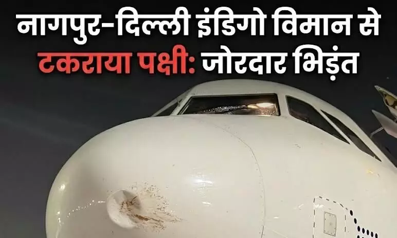नागपुर से दिल्ली जा रहे 164 यात्रियों की जान पर बनी, विमान के नोज़ कोन से टकराया पक्षी - सभी यात्री सुरक्षित नागपुर से दिल्ली जा रहे 164 यात्रियों की जान पर बनी, विमान के नोज़ कोन से टकराया पक्षी - सभी यात्री सुरक्षित