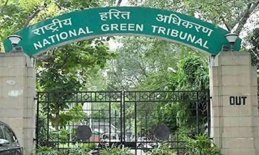 एनजीटी ने सीवेज डायवर्जन और झील के आसपास नियम उल्लंघन पर 4 सप्ताह में मांगी रिपोर्ट
