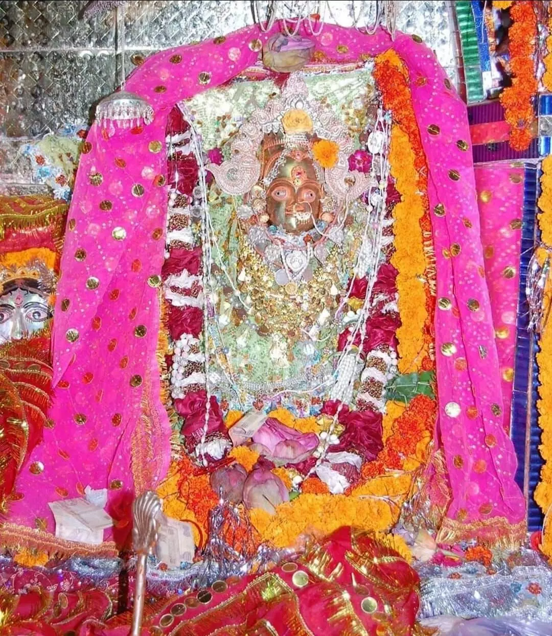 कल सोमवार को होगी माँ कलेही की महाआरती कल सोमवार को होगी माँ कलेही की महाआरती