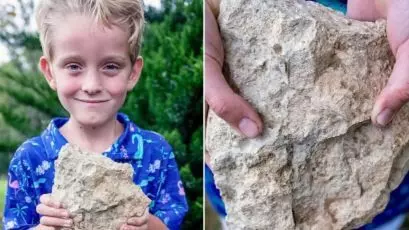 6 साल के बच्चे की नजर ने खोज निकाला दुर्लभ जीवाश्म, 55 साल से नहीं मिला था ऐसा नमूना