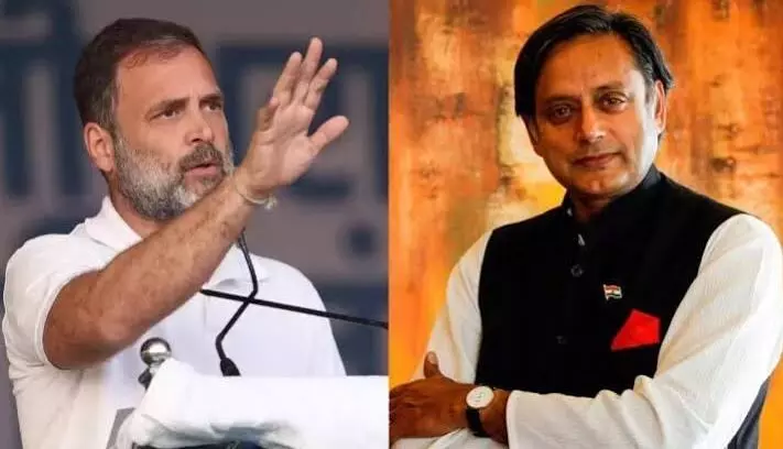 राहुल गांधी के विदेश यात्रा के सवाल को शशि थरूर ने किया इग्नोर, कहा - मैं ट्रैवल एजेंट नहीं हूं