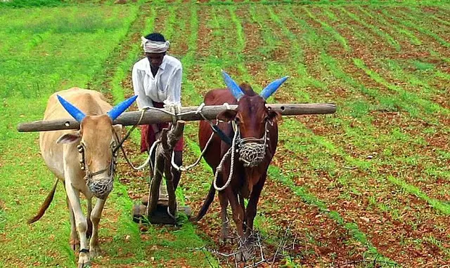 जलाशयों में पानी की कमी, रबी सीजन के लिए नहीं मिलेगा पानी, किसानों से गेहूं न बोने की अपील
