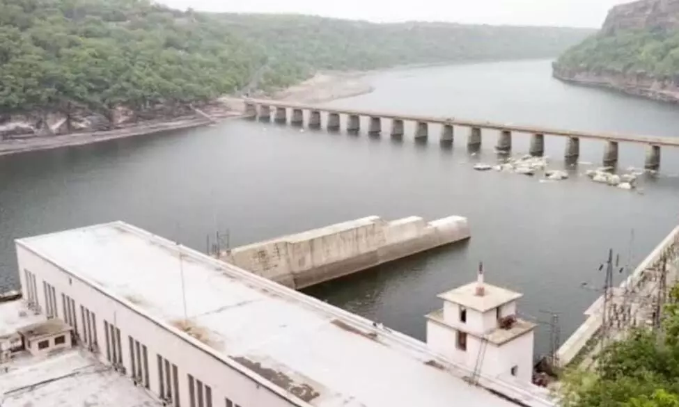 गांधी सागर के 100 हेक्टेयर में 10 हजार कैज और ईको टूरिज्म होगा